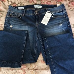 Torrid Flare Jeans